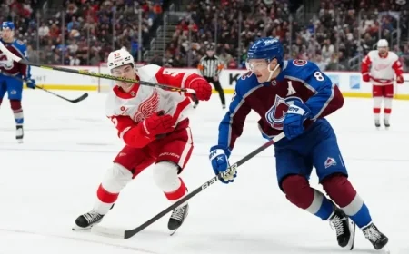 Red Wings Seek Victory Over Avalanche to End Three-Game Losing Streak