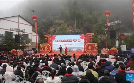 Villagers Celebrate Spring Festival Gala in Shenshan, Jiangxi Province