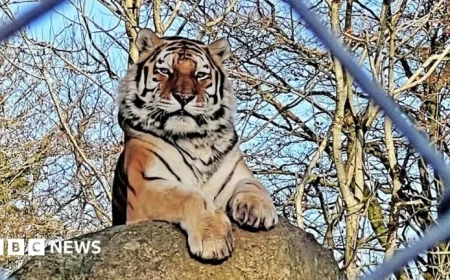 British Zoos Battle for Survival Amid Animal Welfare Costs