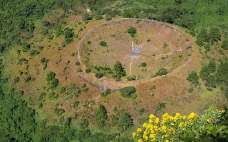 Claude Cowork Plug-Ins Cause Software Stocks to Plummet