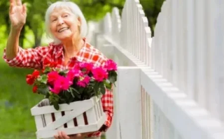 Signal Fault Disrupts Morning Rush-Hour Trains: Live Updates