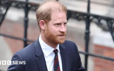 Court Hears Investigator Conducted Unlawful Activities Concerning Harry