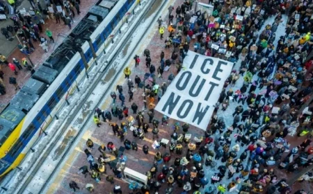 Government Attorney Removed from ICE Case After Criticizing Job