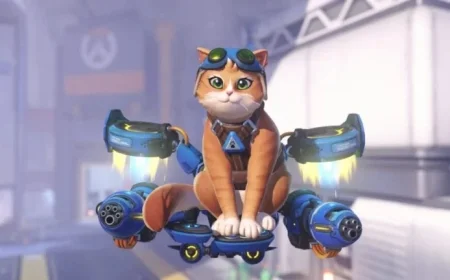 Fika the Jetpack Cat Joins Overwatch: Abilities and Details Revealed