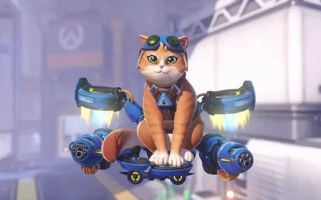 Jetpack Cat Joins Overwatch Heroes Lineup Soon