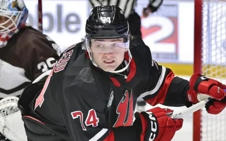 Blues Secure Bordeleau in Trade with Devils