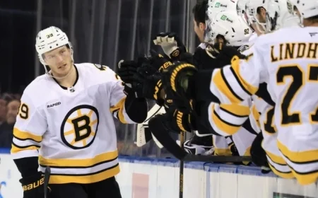 Bruins, Geekie Aim to Extend Winning Streaks Against Panthers