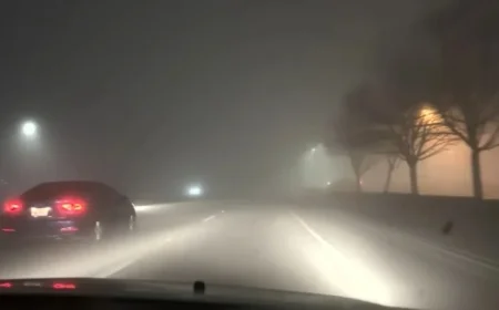 CHP, Driving Instructors Offer Essential Safety Tips for Dense Fog Navigation