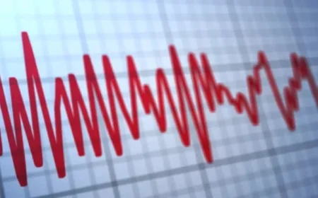 2.3 Magnitude Earthquake Shakes Summerville