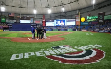 Rays Move Forward in New Stadium Search