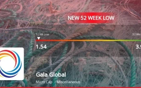 Gala Global Products Ltd Hits 52-Week Low at Rs.1.54