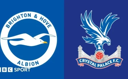 Brighton Battles Crystal Palace in Premier League Clash