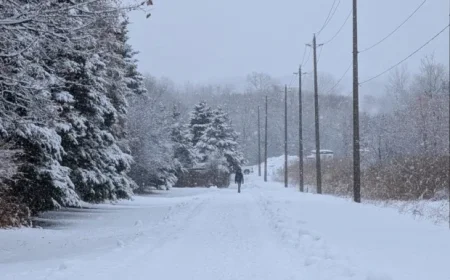 Active Winter Weather Brings Snow, Wind, Cold to End Work Week