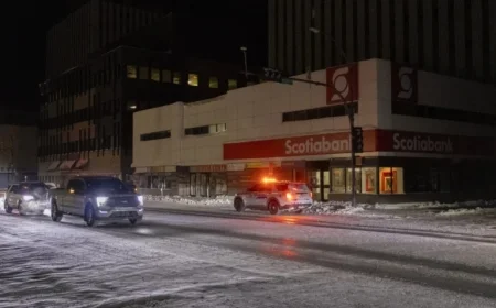 Wildlife Interaction at Jackfish Suspected in Major YK Power Outage