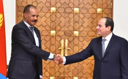 Egypt, Saudi Arabia Strengthen Eritrea Ties Amid UAE-Ethiopia Partnership