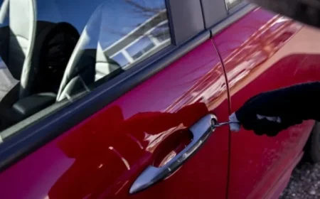 Ain: Residents Stop Car Theft but Get Assaulted