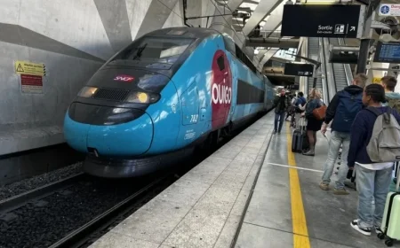 Lyon: Ill Passenger Causes Chaos on TGV, Sparks Legal Action