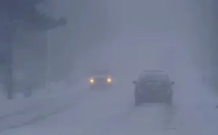 Blizzard Strikes Southwestern Ontario, Forcing Multiple Road Closures