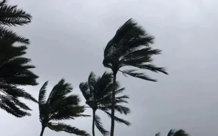 Weekend Events Canceled and Venues Closed Amid Severe Weather Warnings