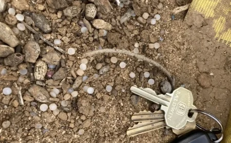 Settlement Reached to Contain ‘Nurdles’ Spill Along San Diego Railroad