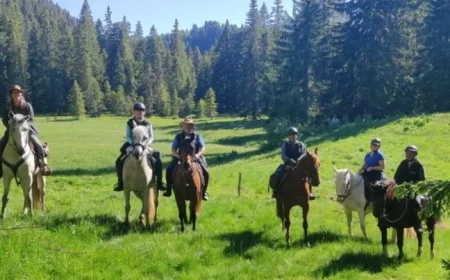 Ain President Rides Horse, Highlights Equestrian Tourism’s Regional Value