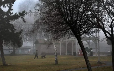 Dense Fog Engulfs Tri-Cities: Commuters Advised to Exercise Caution