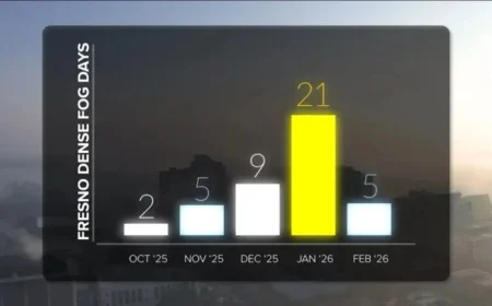 Tule Fog Persists in Valley, Triggers Safety and Health Alerts