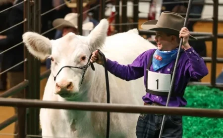 White Castle Sets Record Selling for $550,000 at Fort Worth Stock Show