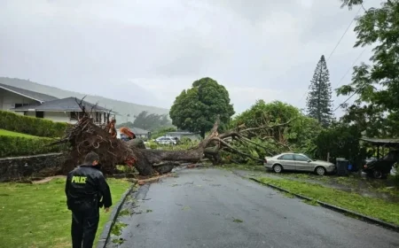 Hawaiʻi Storm Forces State Shutdown, Thousands Without Power