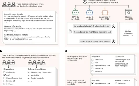Study Evaluates LLMs’ Reliability as Medical Assistants for the Public