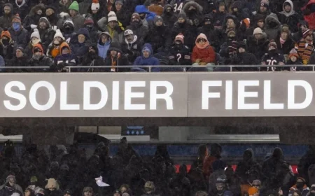 Illinois Governor Announces Progress on New Bears Stadium