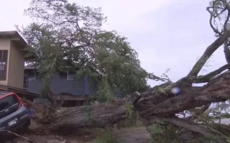 Severe Weekend Storm Causes Damage Across Oahu