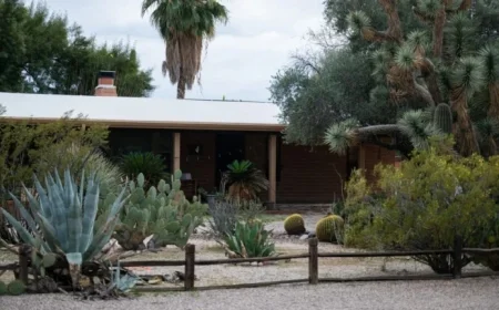 AI and Deepfakes Revolutionize Search for Nancy Guthrie: NPR Analysis