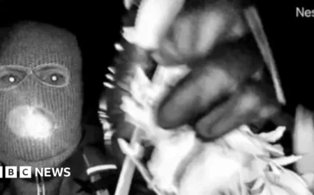 US Police Unveil Images of Suspect in Nancy Guthrie Case