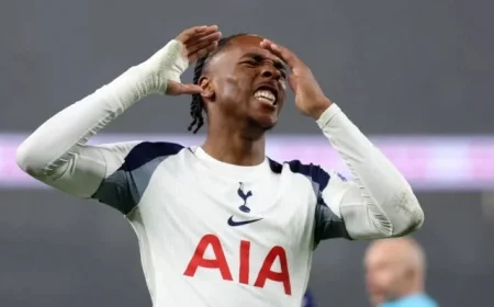 Spurs Stumble at Home with 2-1 Defeat to Newcastle