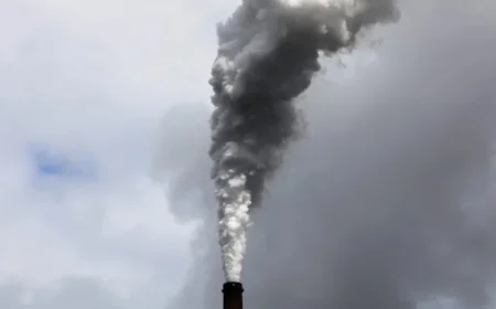 Trump Plans Major Overhaul of U.S. Climate Policies, Says White House Official