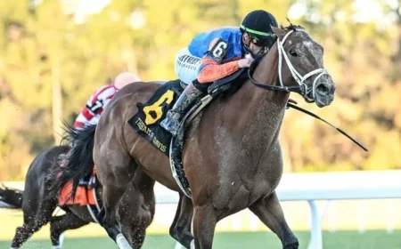 Renegade Emerges as Pletcher Barn’s Kentucky Derby Leader