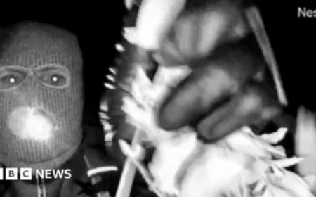 Tottenham vs Newcastle: Live Updates from the Premier League Match