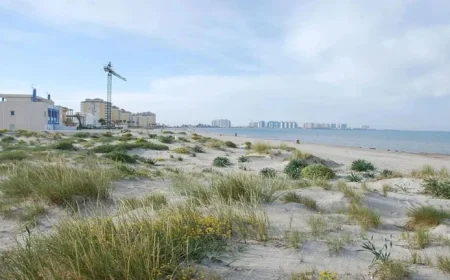 Dune Restoration in La Manga Fights Urbanization and Climate Change