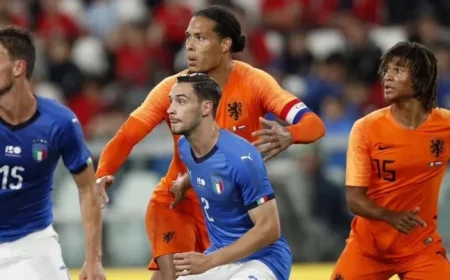 Turned Down Liverpool: Ex-Defender Reflects on Missing Virgil van Dijk Partnership