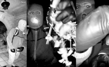 Crypto Wallet Linked to Nancy Guthrie Ransom Shows Activity Amid Suspect Images