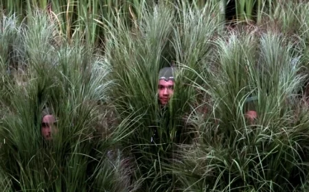 Bad Bunny Engages in Captivating Interview with Bush People