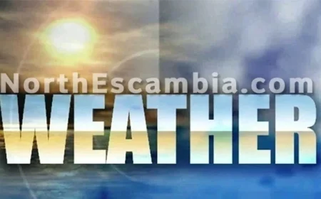 Overnight Dense Fog Advisory Issued