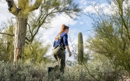 Nancy Guthrie Search Enters 12th Day with Ongoing Updates