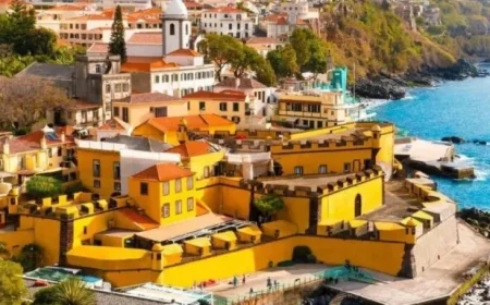 Madeira Joins World Creativity Day Portugal as First Participant