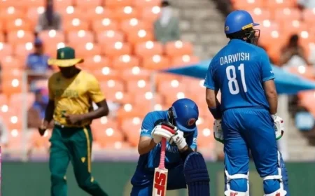 T20 World Cup 2026: Updated Standings After Wins by South Africa, Australia, West Indies