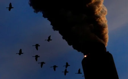 Trump Revokes Key Climate Rule Policy