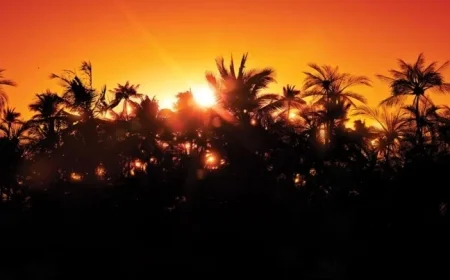 PS5 Games Discounted 75% Before Permanent Delisting