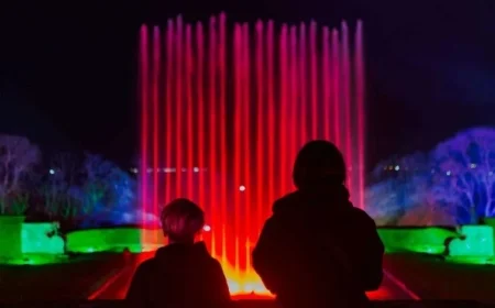 Wildlife Park Announces Return of Festive Light Trail