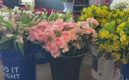 Rising Flower Costs Lead Redding Shops to Promote Budget Blooms, Local Purchases